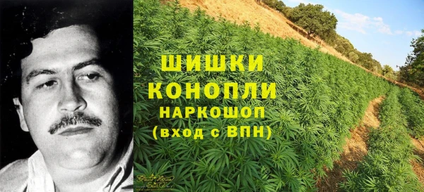 дживик Дмитровск
