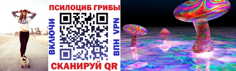 Купить закладки  Оса  Псилоцибиновые грибы ЛСД 